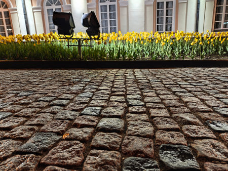 A picturesque cobblestone pathway showcases bright tulips and empty benches, creating an inviting atmosphere beneath soft night lighting.の写真素材