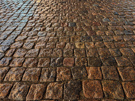 Wet cobblestones reflect soft light, adding warmth to the historic street in the early evening, creating a rich, textured appearance.の写真素材