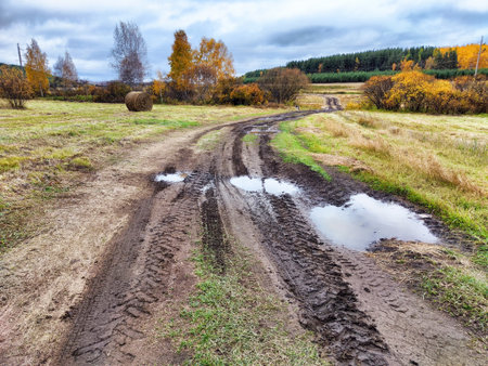 Muddy paths weave through a rural autumn landscape of colors and puddles beneath an overcast sky, showcasing seasonal beauty.の写真素材