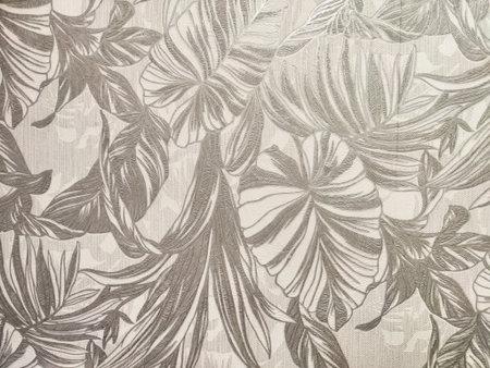 Detailed botanical design showcases various tropical leaves with an elegant monochrome texture, providing ample space for text or branding.の写真素材
