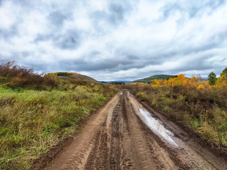 A dirt road winds through an open countryside, surrounded by patches of colorful autumn trees under a cloudy sky, creating a tranquil atmosphere.の写真素材