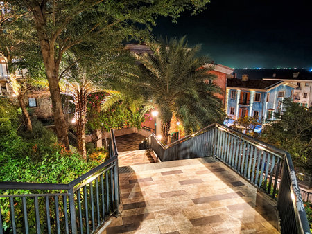 A staircase adorned with palm trees leads down to colorful buildings in a vibrant town, illuminated by soft lights under a clear night sky.の写真素材
