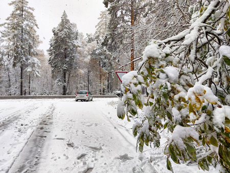 A snowy landscape showcases a parked car beside a snow-laden road surrounded by tall trees and winter foliage during a peaceful day.の写真素材