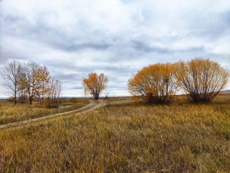 Winding dirt path cuts through tall grass and colorful trees displaying autumn hues in a serene rural setting on an overcast day.の写真素材