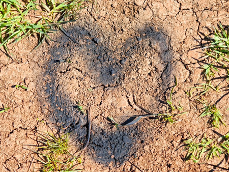 A heart shape appears in dry earth, surrounded by vibrant green grass, highlighting creativity and natural beauty in the landscape.の写真素材