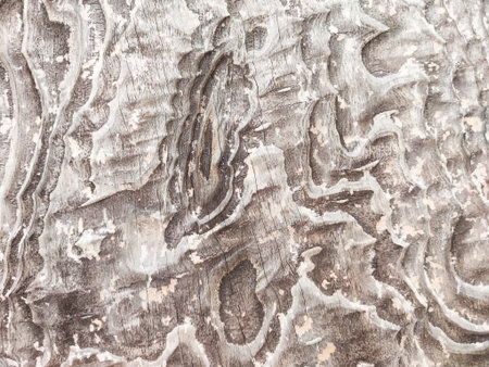 Detailed wood texture showing unique patterns and grains, offering a beautiful backdrop for design work with ample space for text.の写真素材