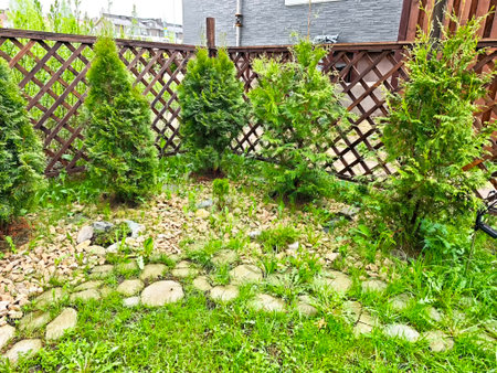 Lush green plants and decorative stones create a serene garden area surrounded by a wooden lattice, reflecting natural beauty on a sunny day.の写真素材