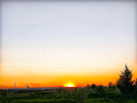 A brilliant sunset casts orange and yellow hues over a peaceful landscape with trees and birds gliding in the evening sky.の写真素材