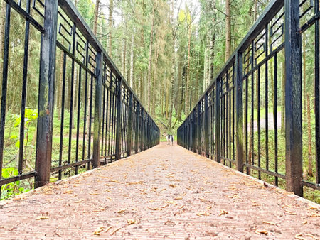 A wooden bridge leads through a dense forest as two individuals stroll along the path, surrounded by...