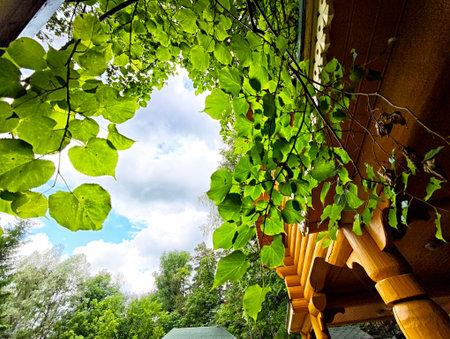 Leaves stretch out from a wooden overhang, framing a tranquil view of the sky filled with clouds, highlighting a peaceful natural environment.の写真素材