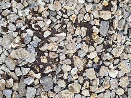 Gravel and soil blend forms an uneven surface over a natural area, creating an intriguing texture...