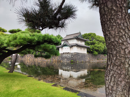 A traditional Japanese structure stands next to a calm pond, surrounded by lush greenery and ancient trees in Tokyo, Japan.の写真素材