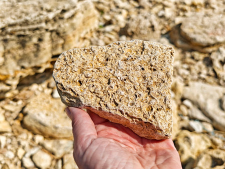 A person holds a unique specimen rock displaying natural textures against a backdrop of rocky...