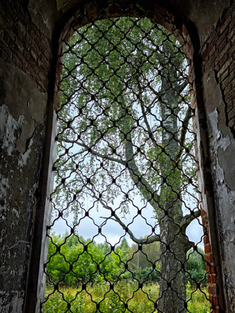 Lush green foliage fills the view beyond a detailed lattice window, offering a glimpse of nature reclaiming a deserted structure.の写真素材