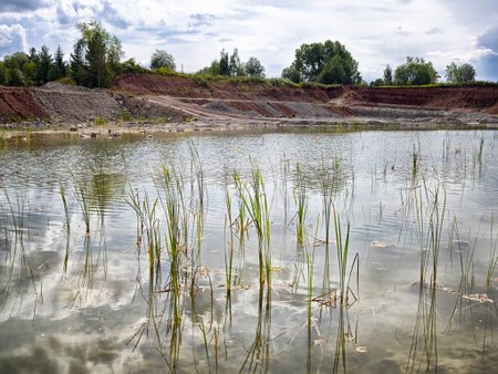 Green grass and reeds emerge from the water's edge at a quarry, with a serene sky above and gentle...