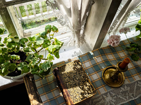 Warm sunlight streams through a window, highlighting a vintage table adorned with potted plants, a brass candlestick, and a textured book.の写真素材