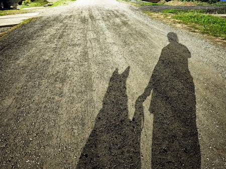 Person and their dog walk hand in paw down a dirt road, creating long shadows in the warm afternoon sun, surrounded by greenery.の写真素材