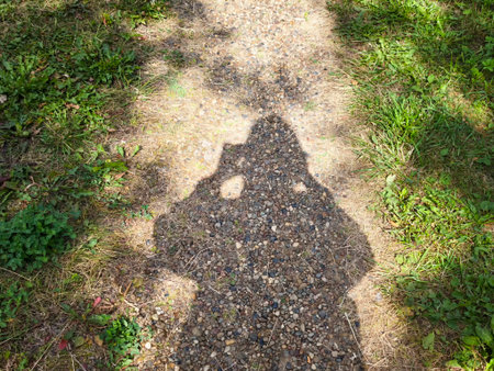 A person's shadow is seen on a gravel path surrounded by green grass and plants in a sunny outdoor area.の写真素材