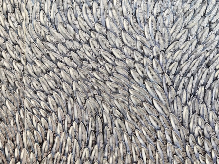 Close-up view showcases intricate, swirling patterns of fish scales against a textured background,...