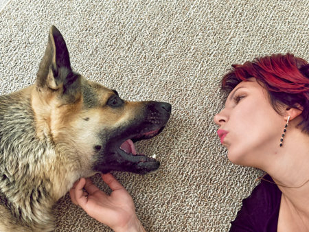 Dog and owner share a playful moment while relaxing on the floor in a cozy living room during middayの写真素材