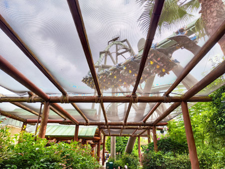 People experience an exciting roller coaster ride while surrounded by greenery and shade structures at a lively amusement park.の写真素材
