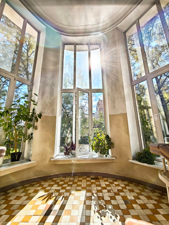 Sunlight streams through tall windows, illuminating indoor plants in a cozy space, creating a warm...