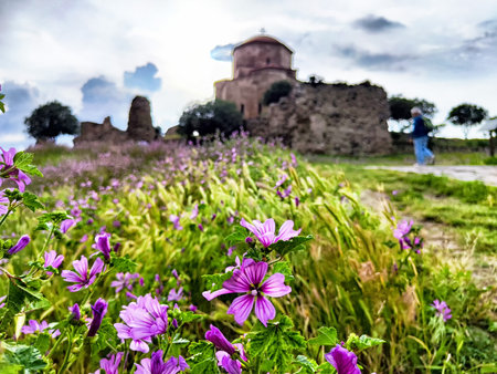 Vibrant wildflowers brighten the foreground while an ancient church and ruins stand under a cloudy sky in a calm, natural setting.の写真素材