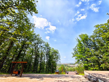 Peaceful park scene shows green trees, a swing set, and a winding path leading down to a distant...