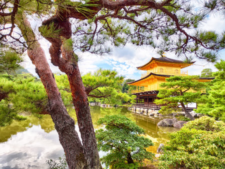Golden Pavilion in Kyoto reflects its stunning golden architecture in calm waters, framed by lush greenery and pine trees.の写真素材