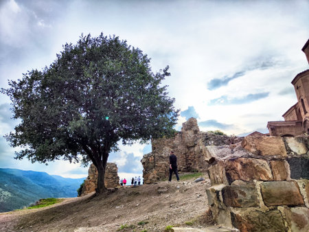 Visitors explore the remnants of an ancient structure on a hillside, surrounded by a large tree and mountains under a cloudy sky.の写真素材