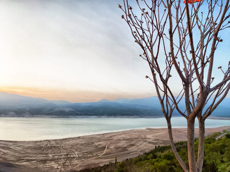 Sunset casts warm colors over a calm lake with a distant mountain range, featuring a lonely tree growing by the shore.の写真素材