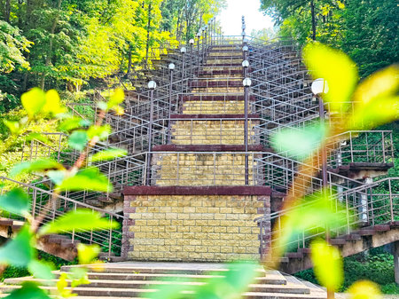 A stunning staircase ascends through a vibrant forest, surrounded by tall trees and bright green foliage on a sunny day.の写真素材