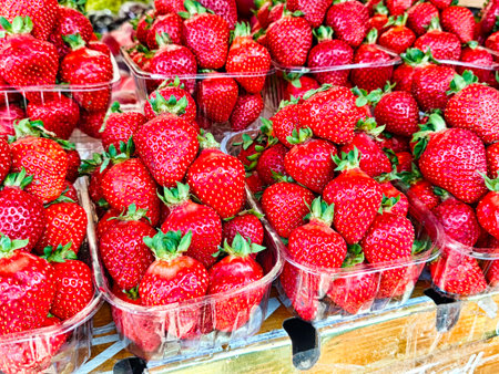 Bright red strawberries are neatly arranged in plastic containers at a bustling market during summer.の写真素材
