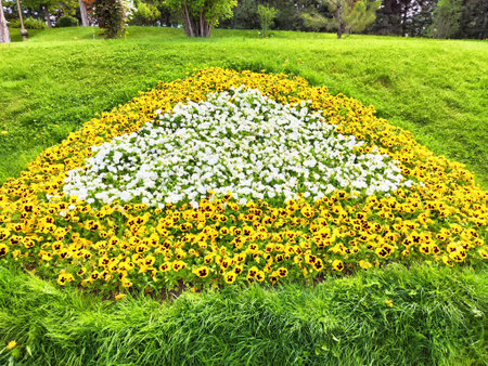 A vibrant flower display featuring yellow and white blooms arranged in a heart shape on a lush green hillside in the park.の写真素材