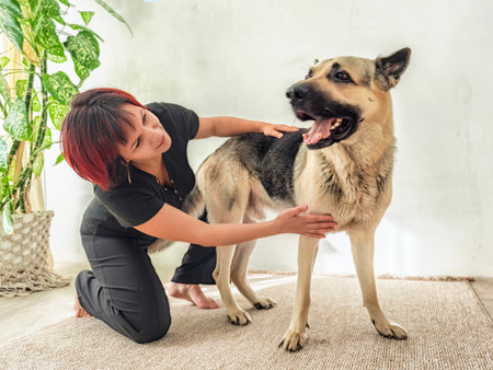 Caring interaction between a woman and her dog in a cozy indoor setting at homeの写真素材