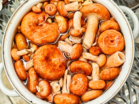 Mushrooms from a foraging trip are soaked in a pot to clean them before cooking. The rich colors and shapes resemble an autumn bounty.の写真素材