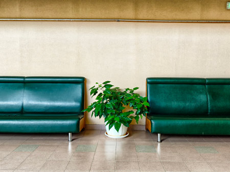 Two green benches are placed across from each other in a bright waiting area, paired with a leafy plant in a pot.の写真素材