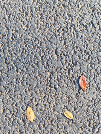 Leaves in various colors lay on a rough asphalt surface.の写真素材