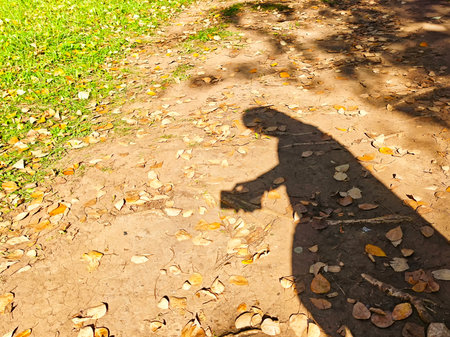 A person's shadow is cast on a dirt path covered with fallen leaves while they hold something small in their hand.の写真素材
