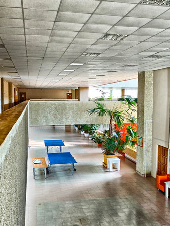 Bright interior space featuring indoor plants, blue tables, and furniture in a modern building during daylight hours.の写真素材