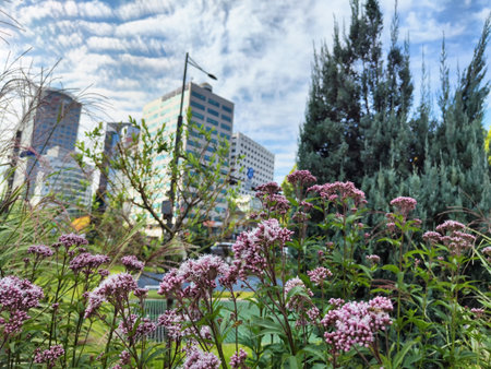 Flowers grow in the foreground while tall buildings rise in the background of Seoul. The sky shows...