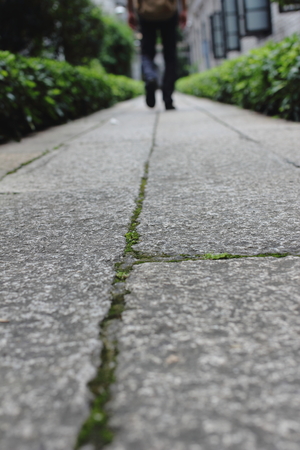 roadwayの写真素材