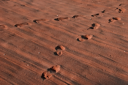 Footprints in the Sandの写真素材