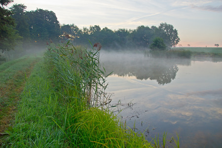 Fog at sunrise over a pondの写真素材