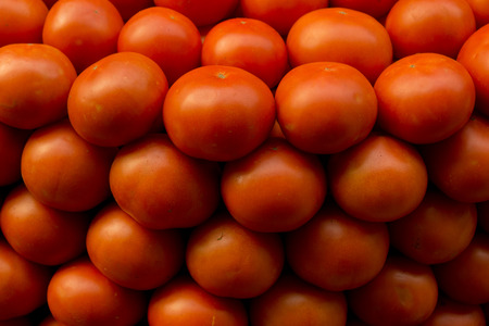 Fresh tomatoの写真素材