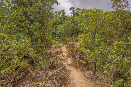 Hike to Boiling Lake in the rainforest of Dominicaの写真素材