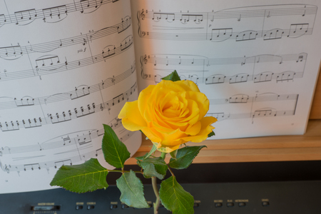Close up view of piano keyboard with music book and yellow roseの写真素材