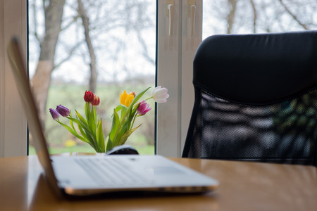 Laptop in front of the window with tulipsの写真素材