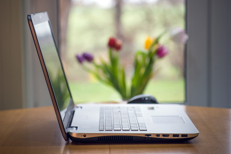 Laptop in front of the window with tulipsの写真素材