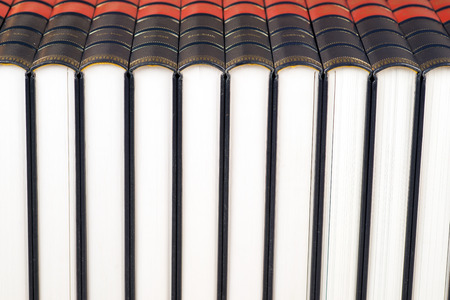 Row of leather books on a shelf